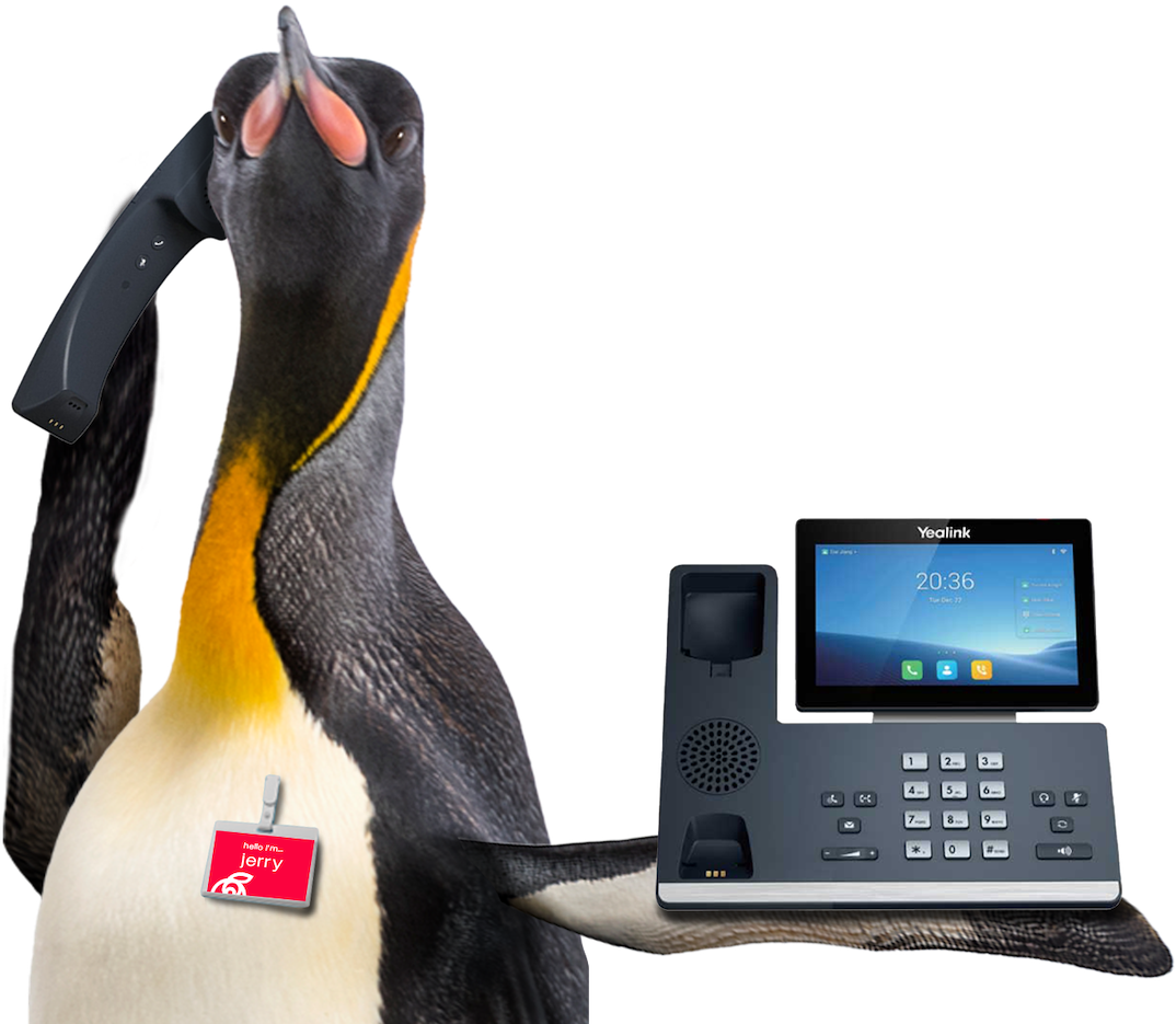 Phone-Penguin